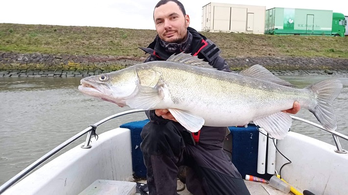 Guidage de pêche en hollande sandre