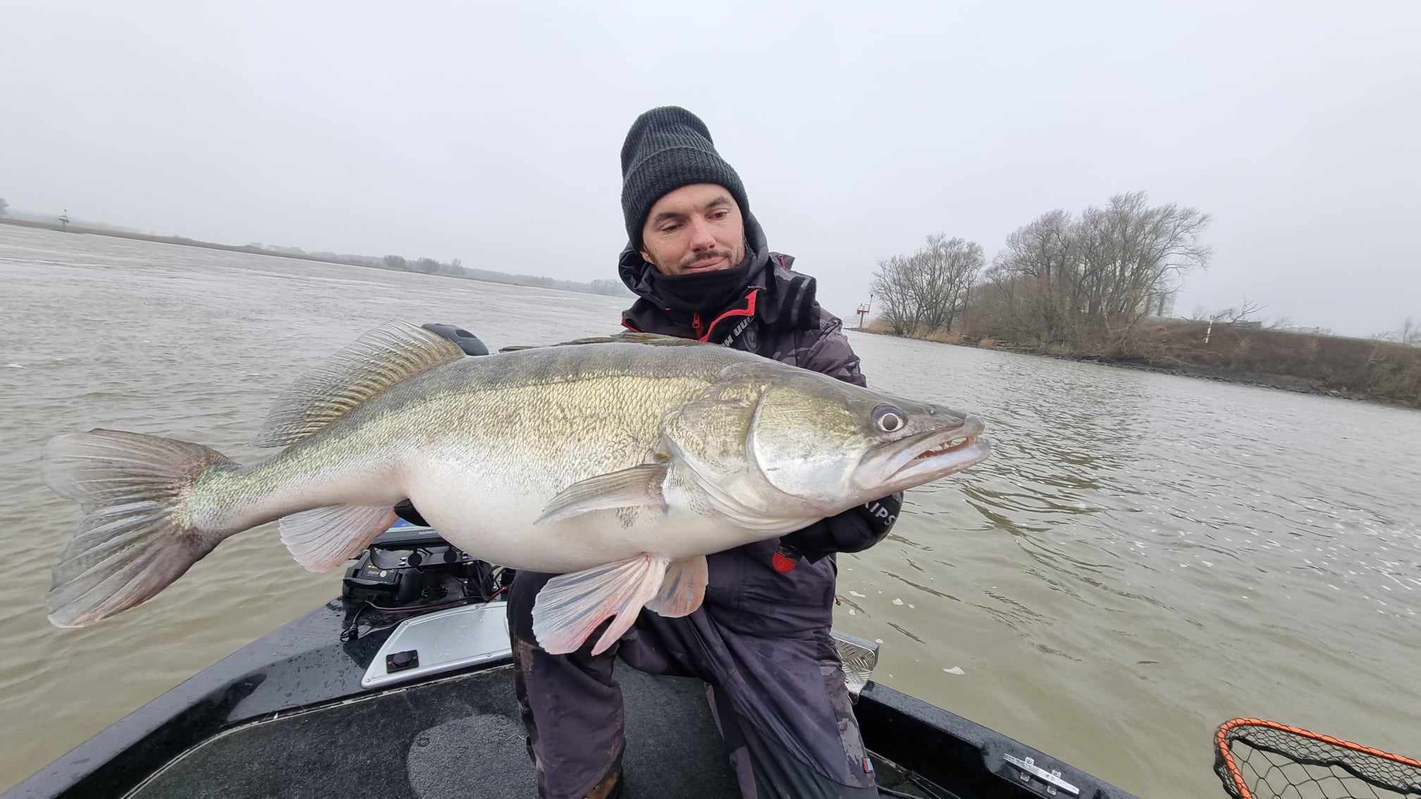 Guidage de pêche en hollande sandre