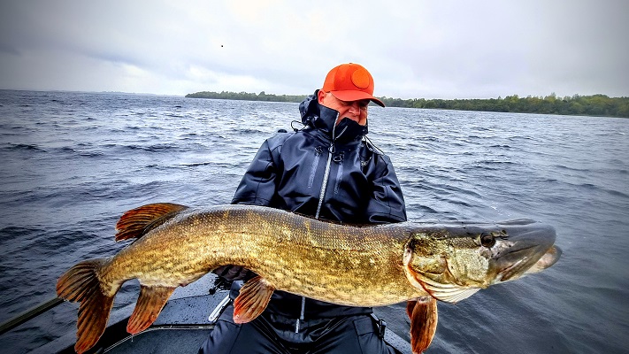 Guidage de pêche en irlande brochet