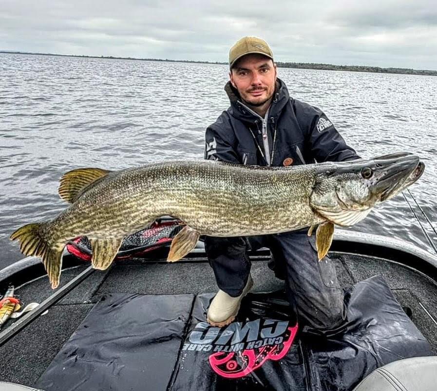 brochet en grand lac