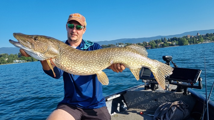 Guidage de pêche au lac Léman brochet